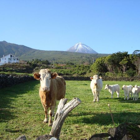Casa Do Canto São Roque do Pico Eksteriør bilde